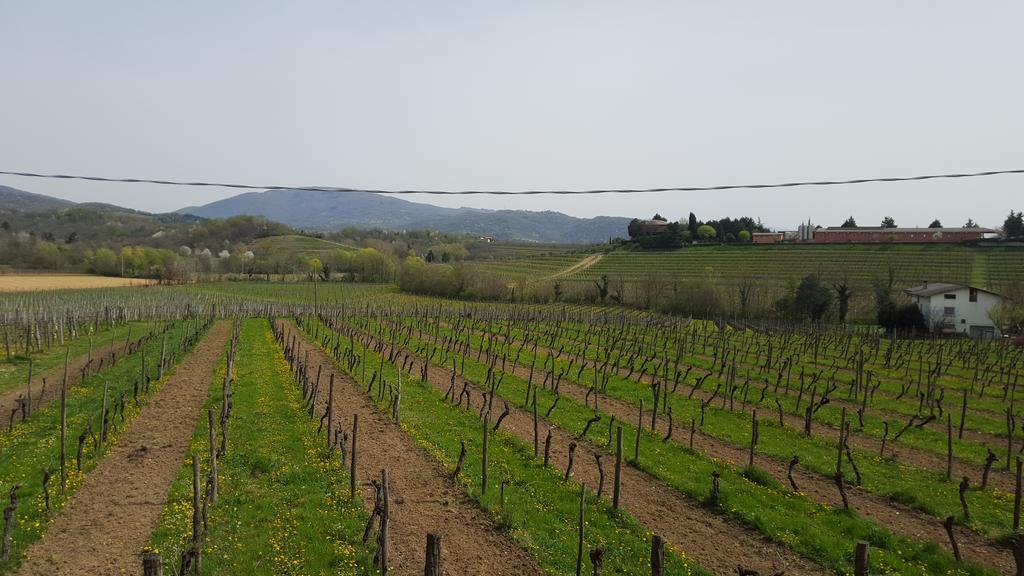 Willa Borgo Dei Sapori Cividale del Friuli Zewnętrze zdjęcie