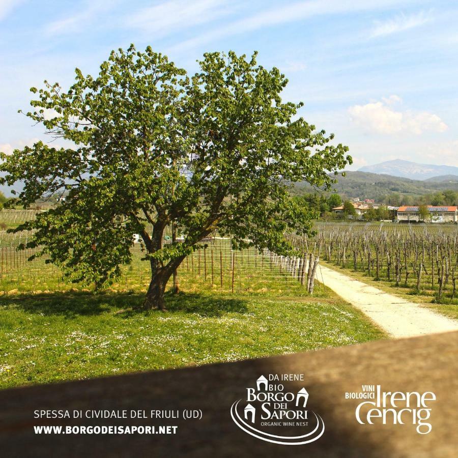 Willa Borgo Dei Sapori Cividale del Friuli Zewnętrze zdjęcie